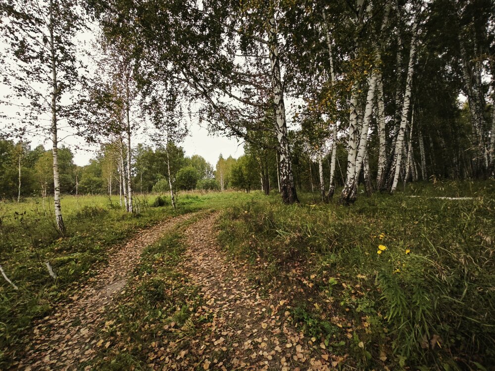 Photograph by Евгения Владимировна