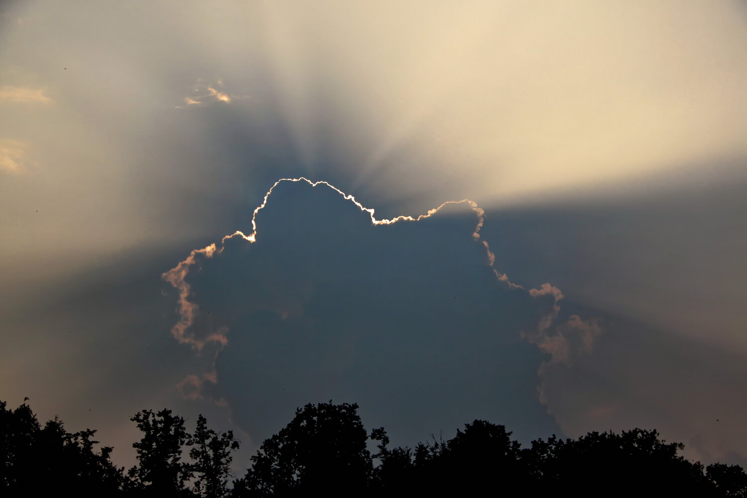 Photo #13793449