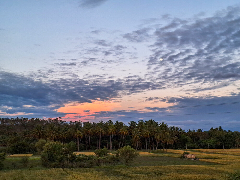 Photograph by Murugan M