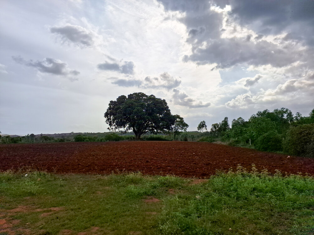 Photograph by Murugan M