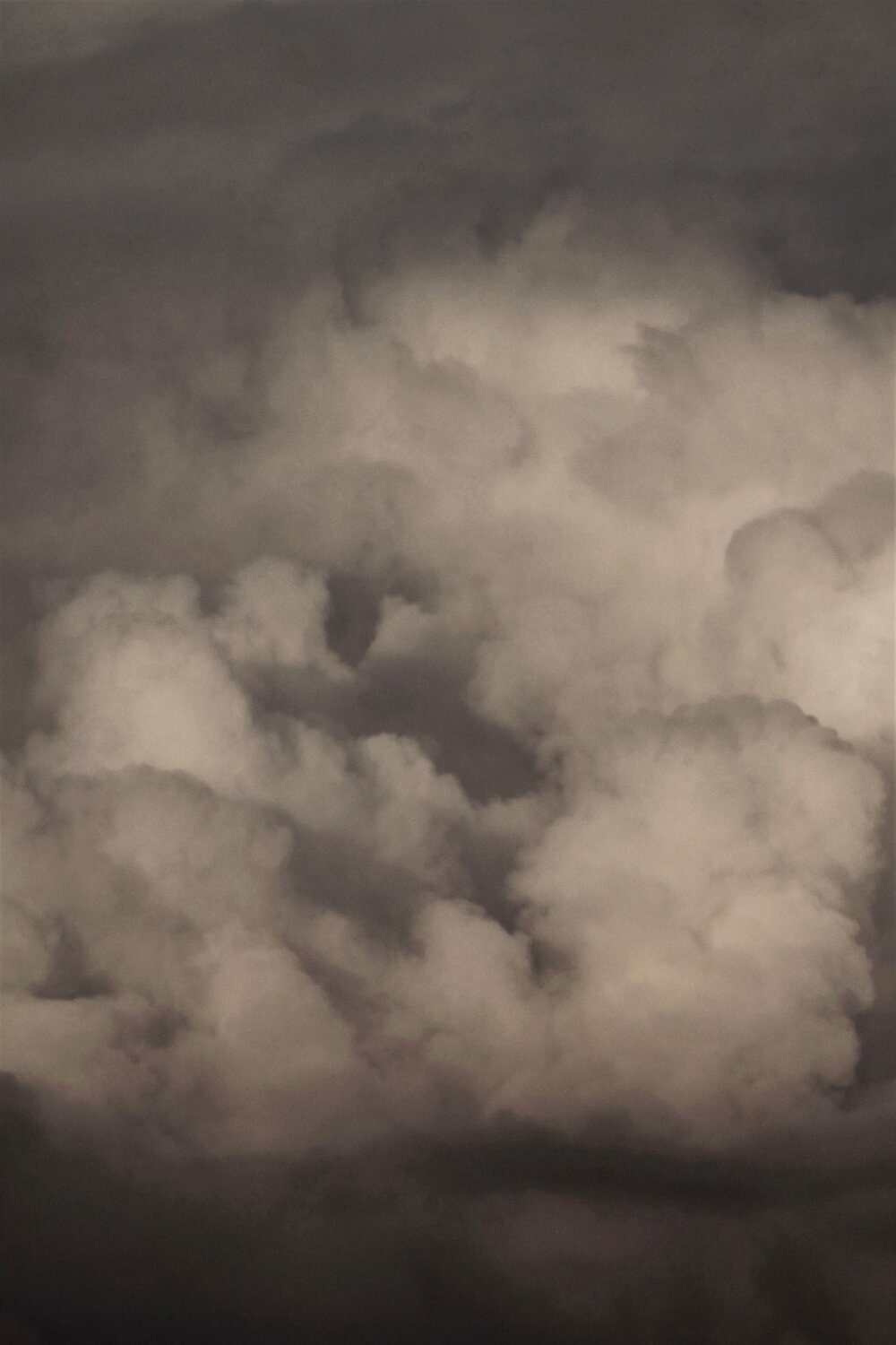 Photo #13793483