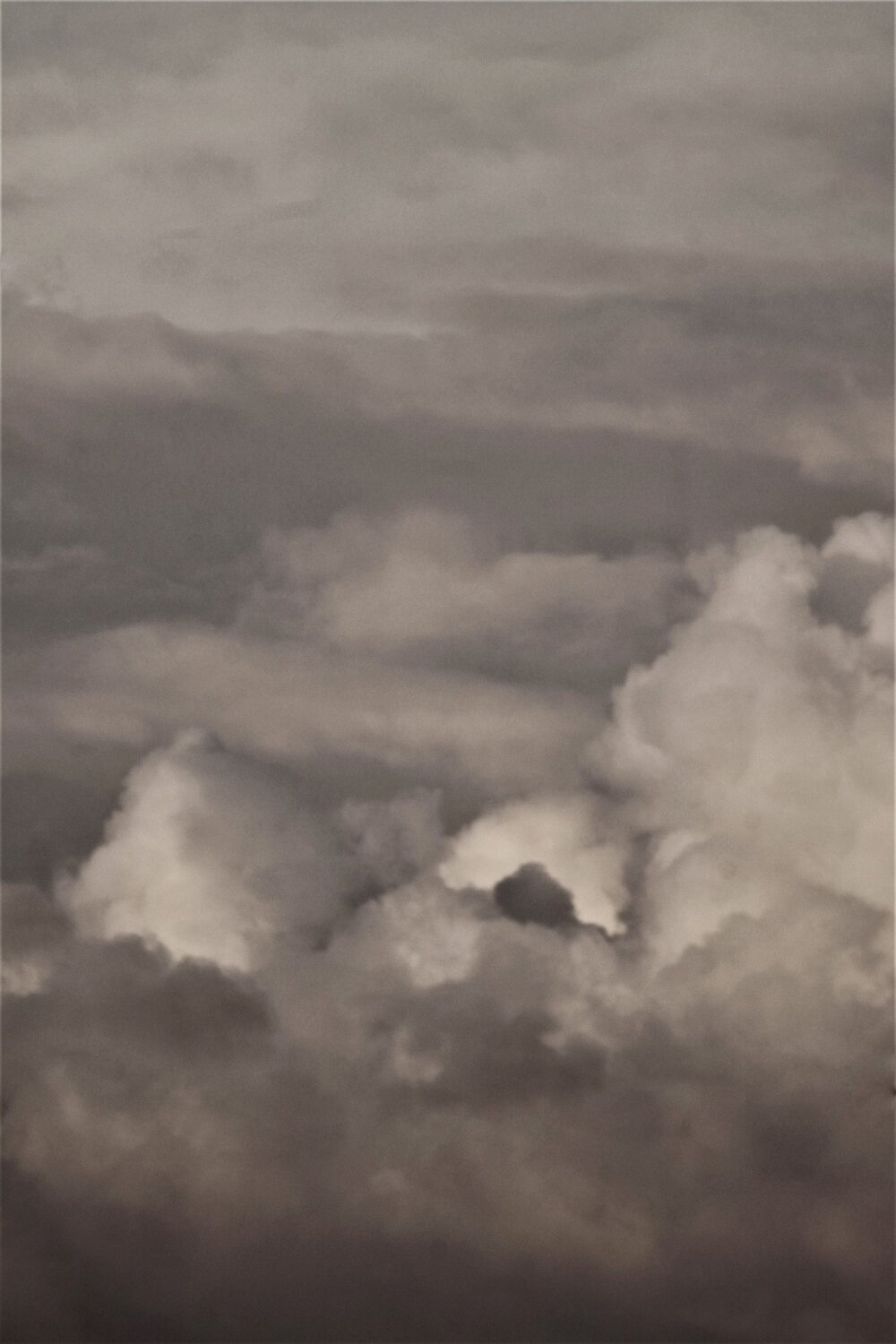 Photo #13793495