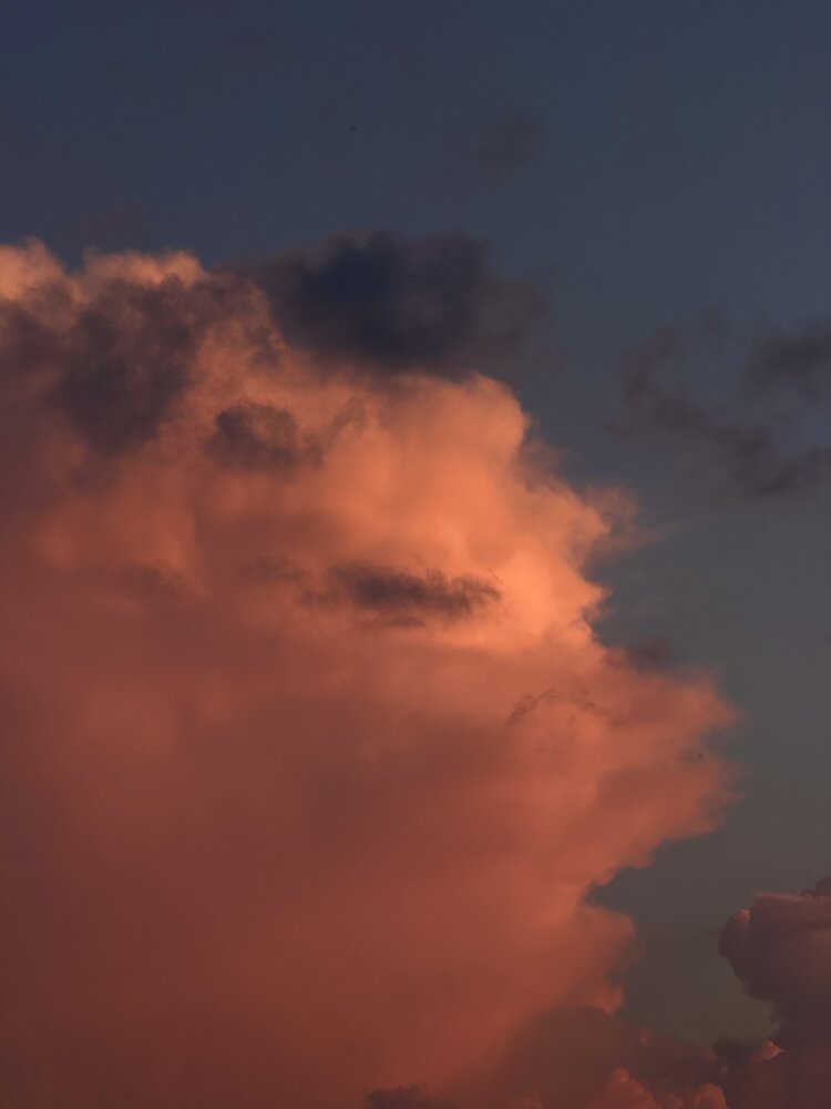 Photograph by Алексей Шаповалов