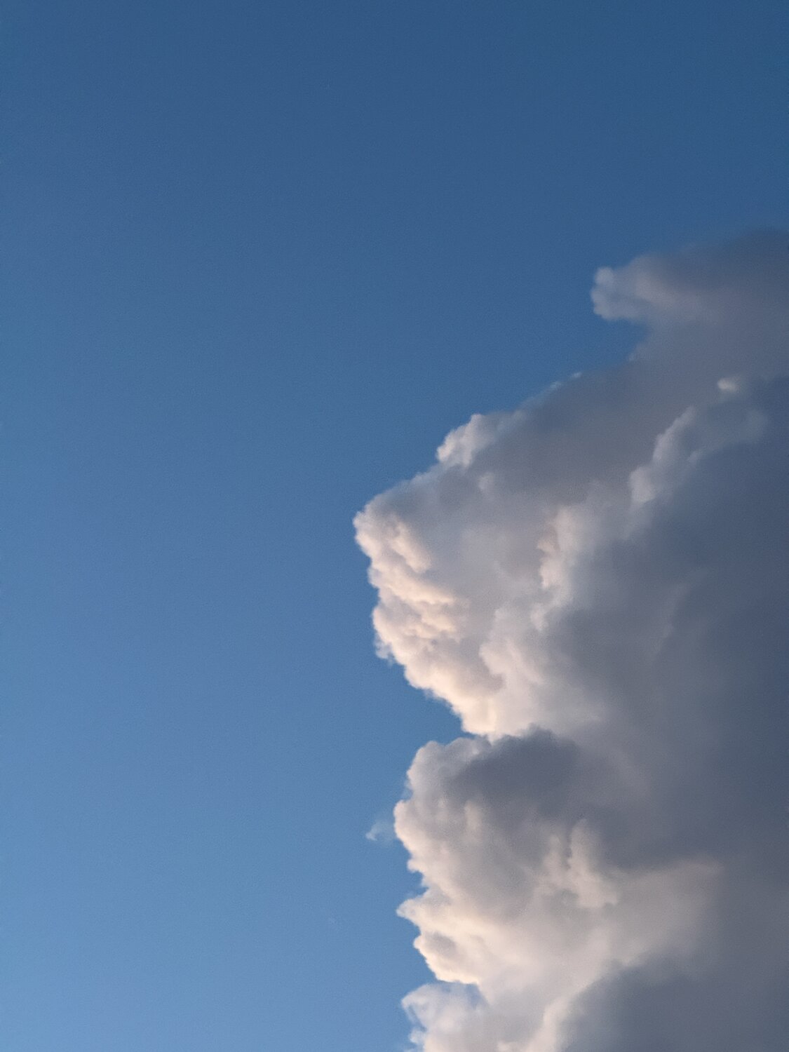 Photo #13793514