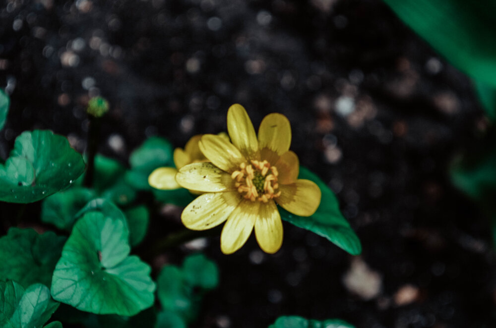 Photograph by Дмитрий Педченко