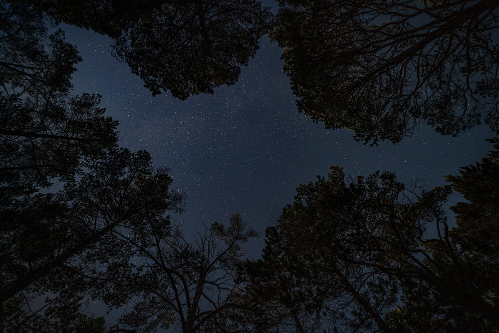 Photograph by Станислав Татарников
