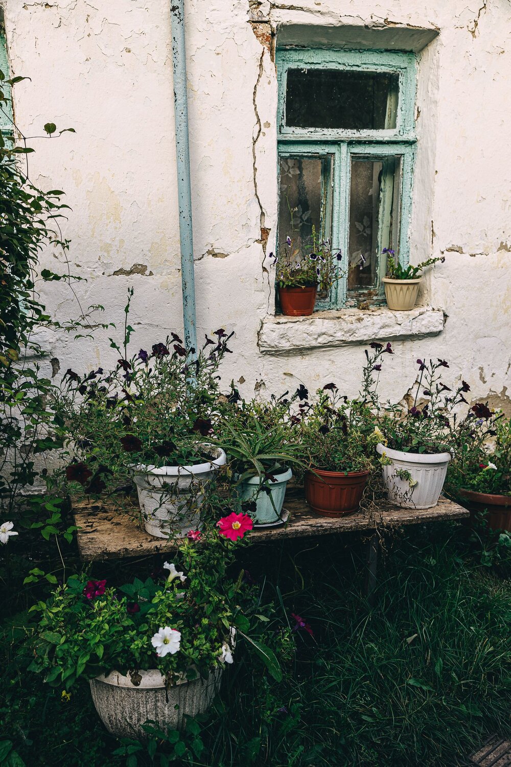 Photo #13793578