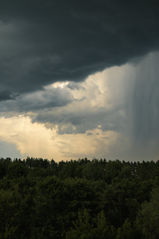Photograph by Екатерина Свиридова