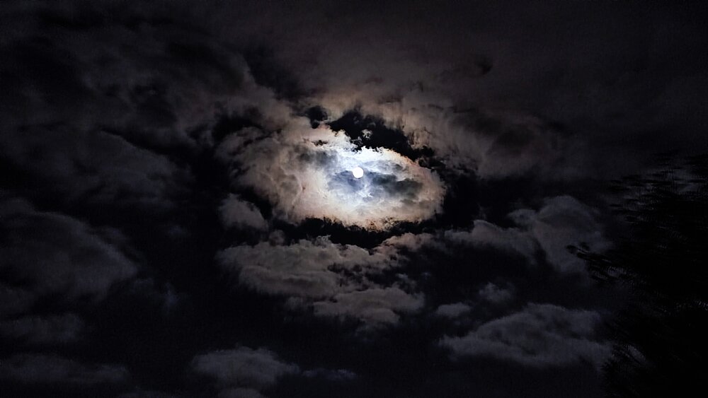 Photograph by Елена Прокофьева