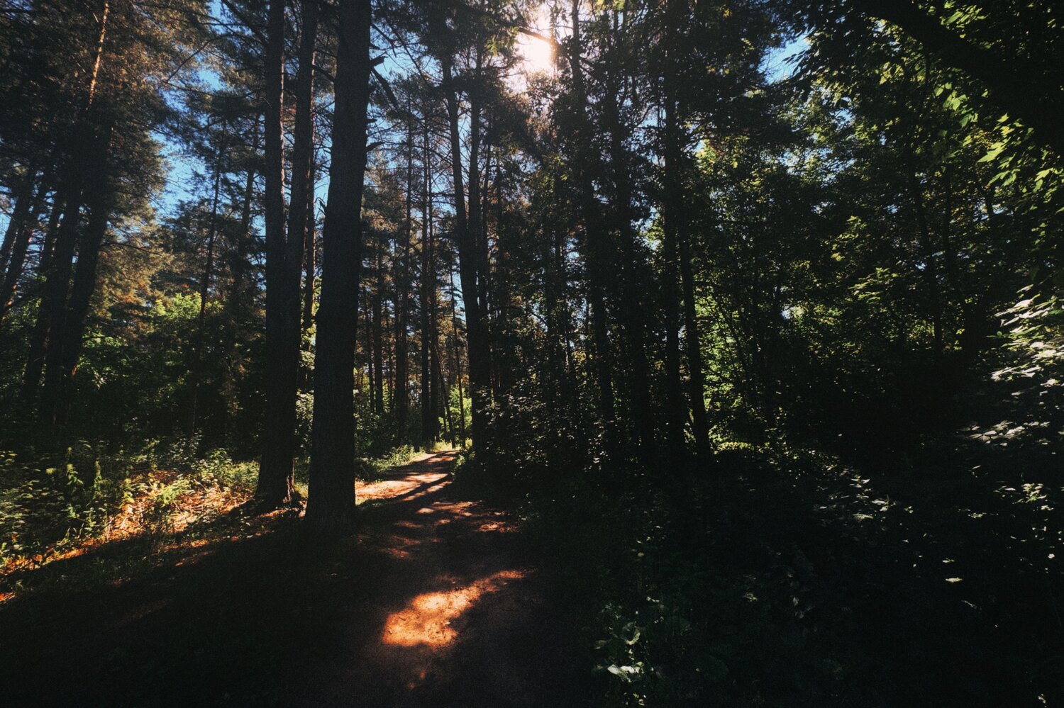 Photo #13793690