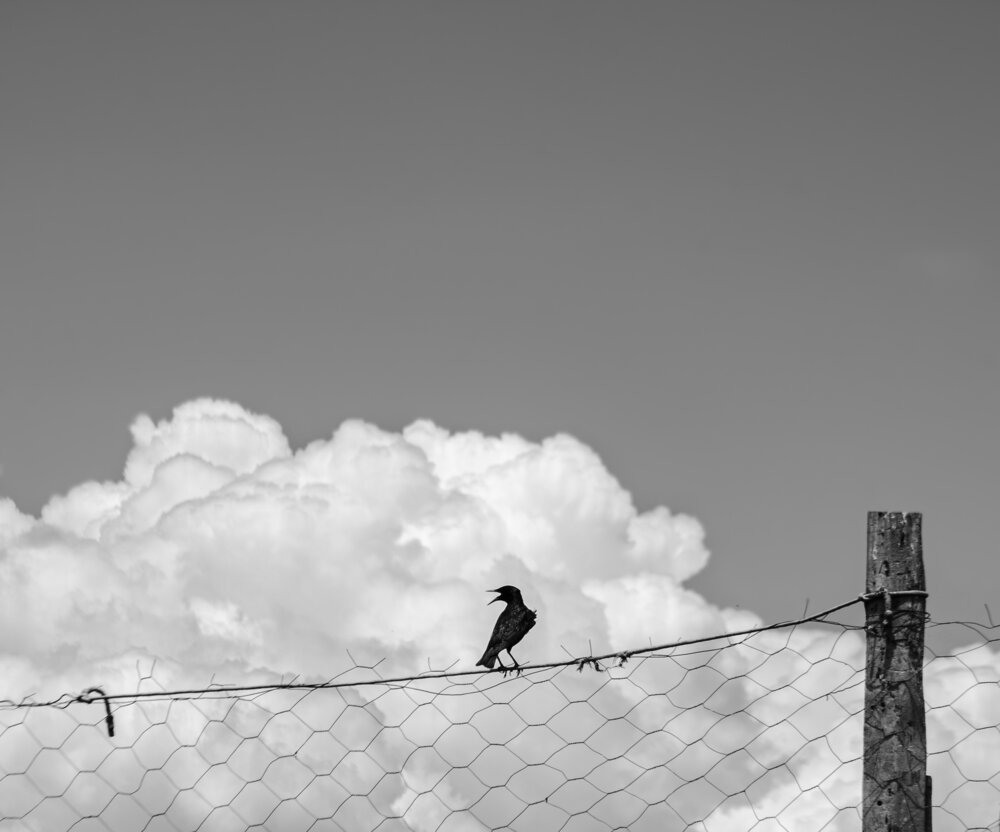 Photograph by MOJDEH NOROUZI