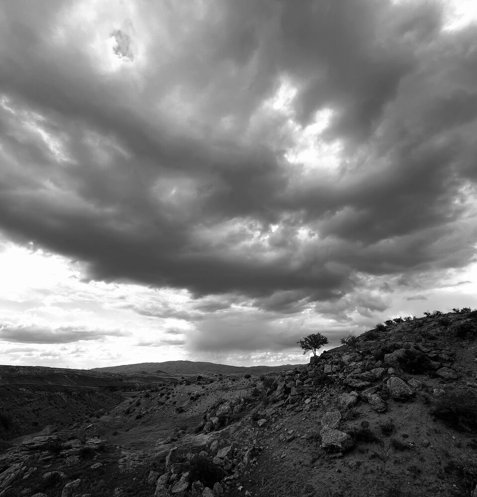 Photograph by MOJDEH NOROUZI