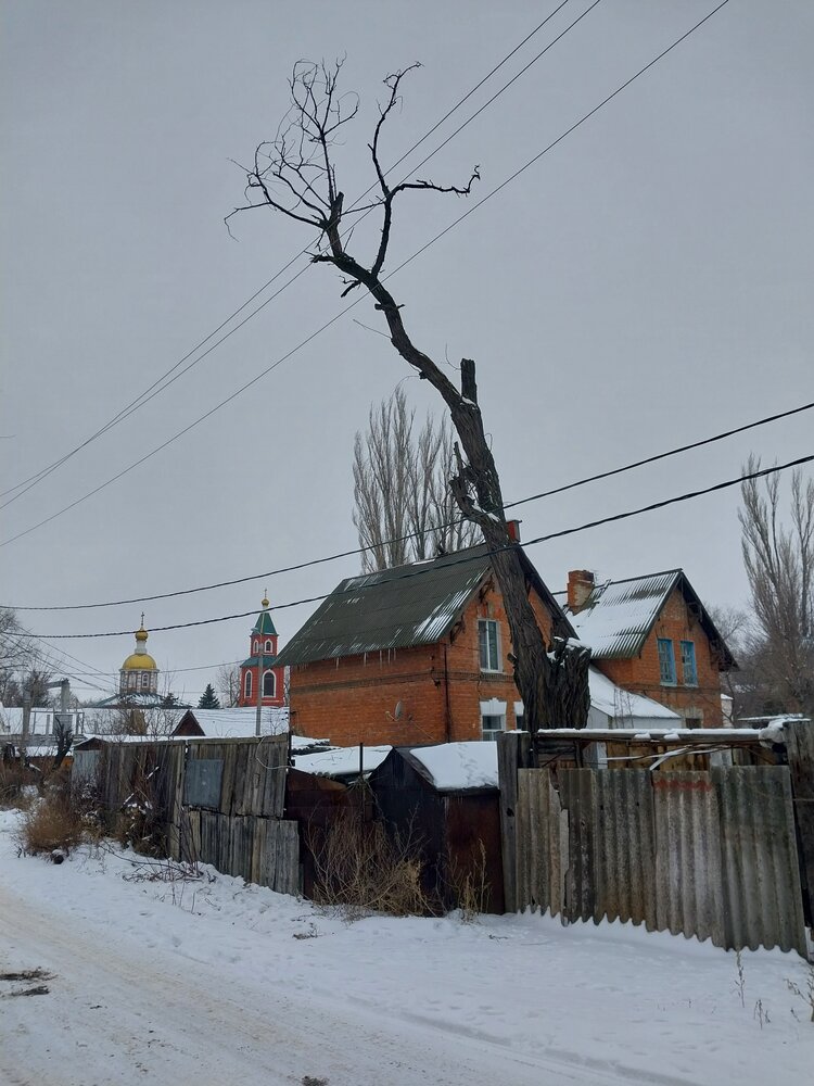 Photo #13793726