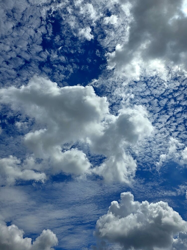 Photograph by Алена Самошина