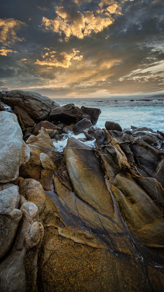 Photograph by Harald Ferber