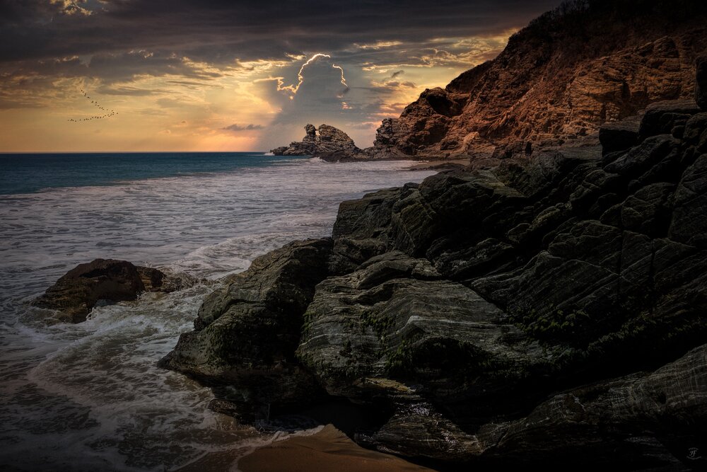 Photograph by Harald Ferber