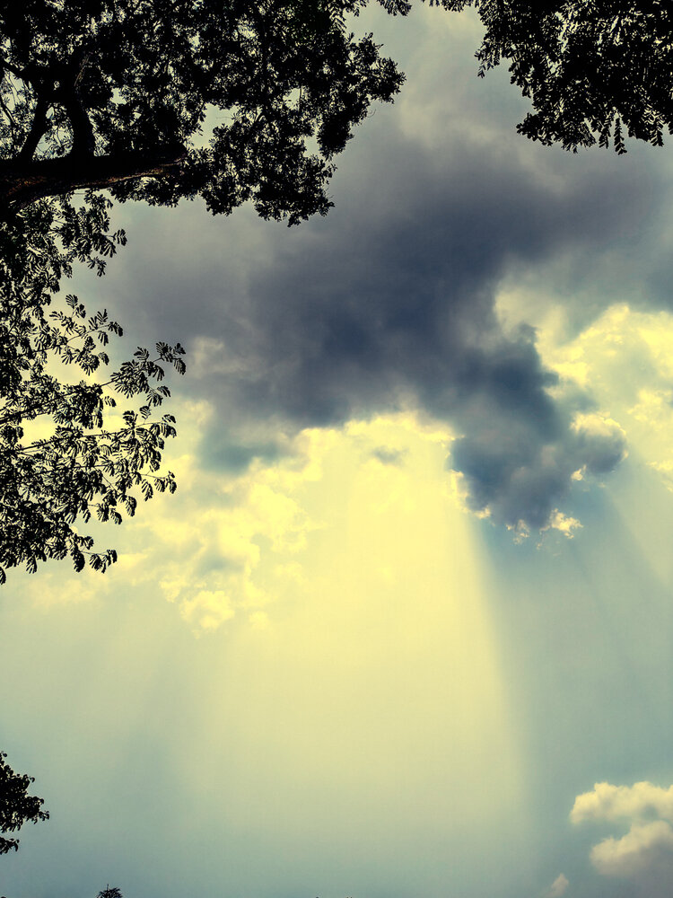 Photograph by Athul Krishna T. R.