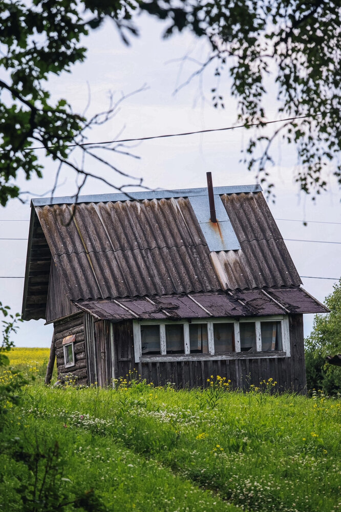 Photograph by Anastasia Asakura