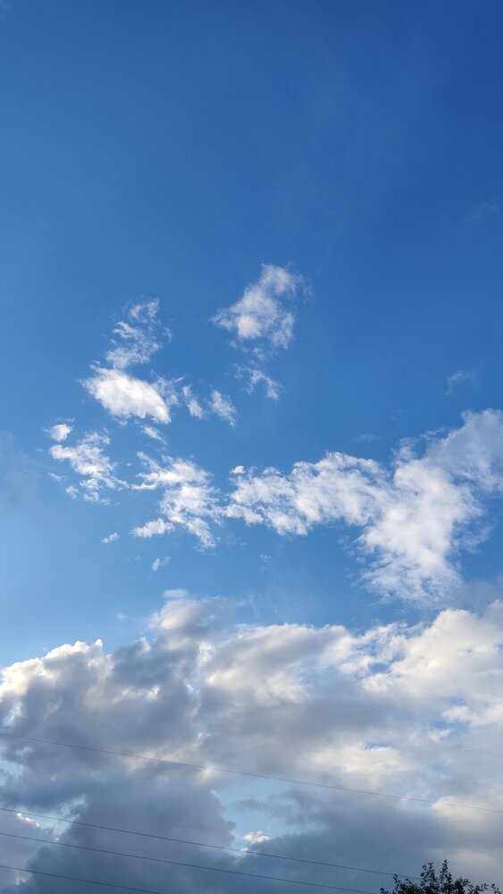 Photograph by Елена Прокофьева