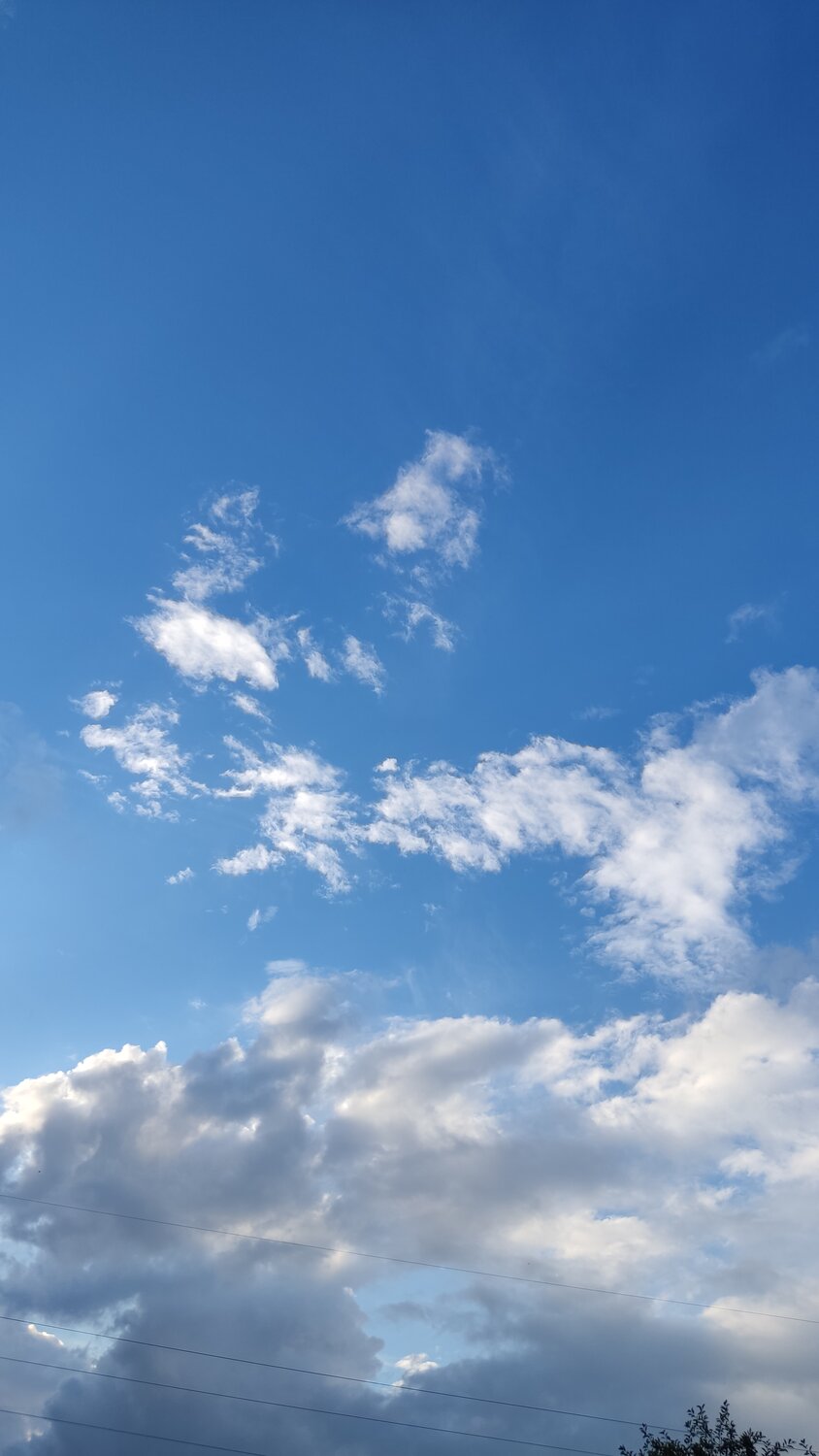 Photo #13793791