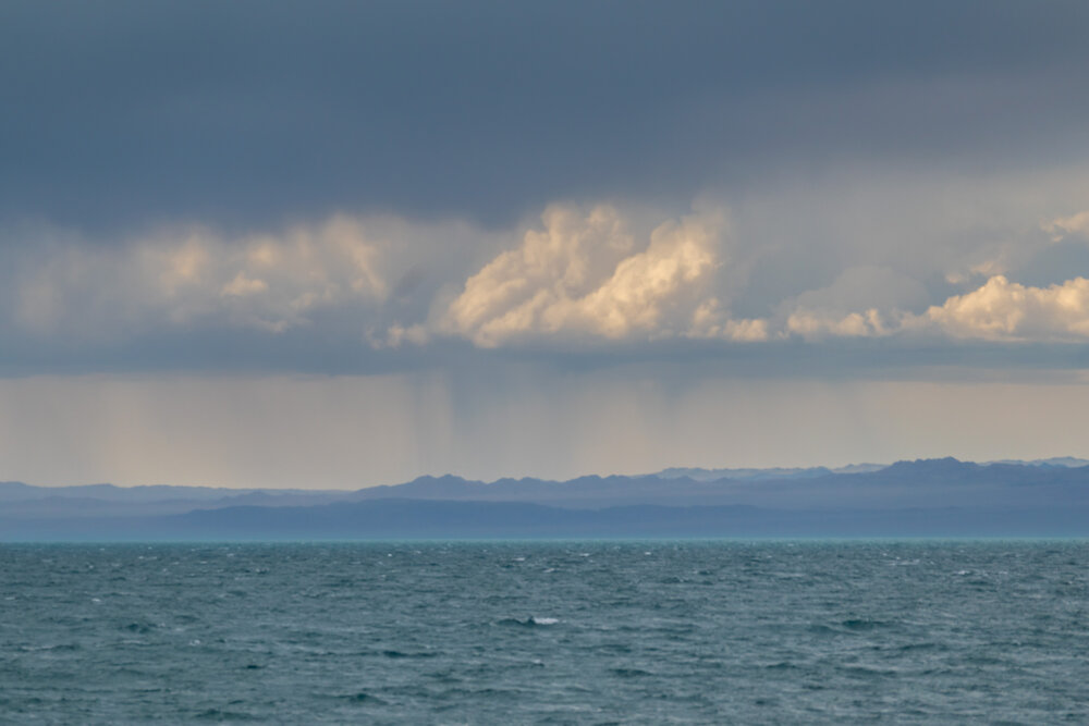 Photograph by Olga Sharikova