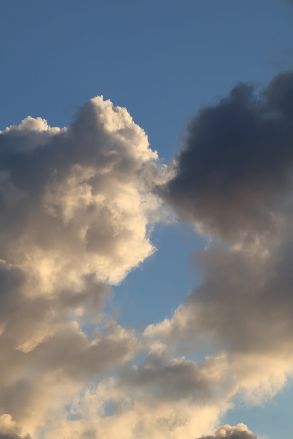 Photo #13793813