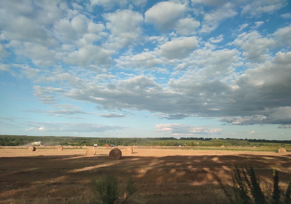 Photograph by Владимир Себякин