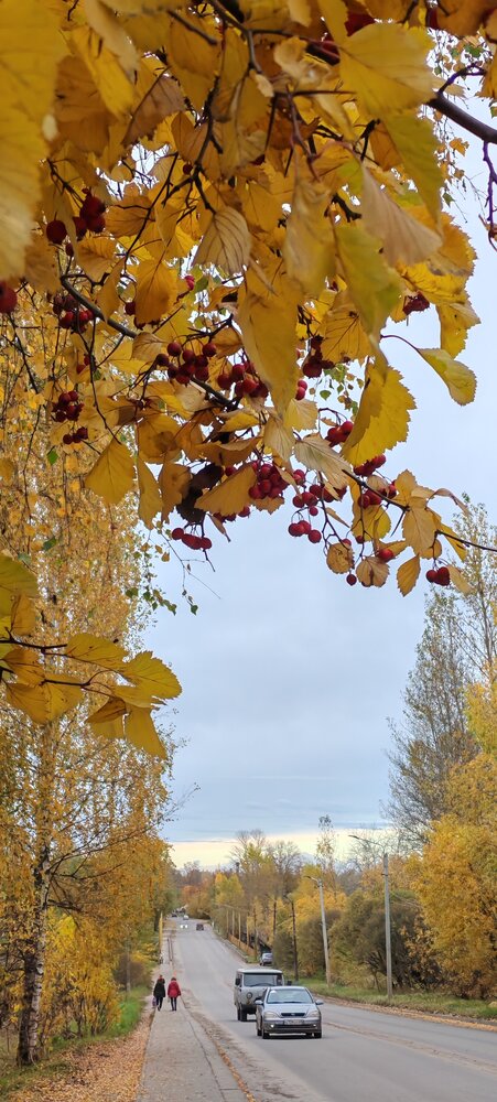 Photograph by Светлана Васильева