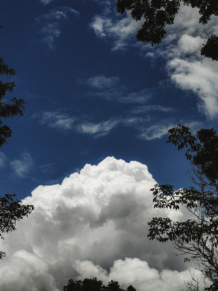 Photograph by Athul Krishna T. R.