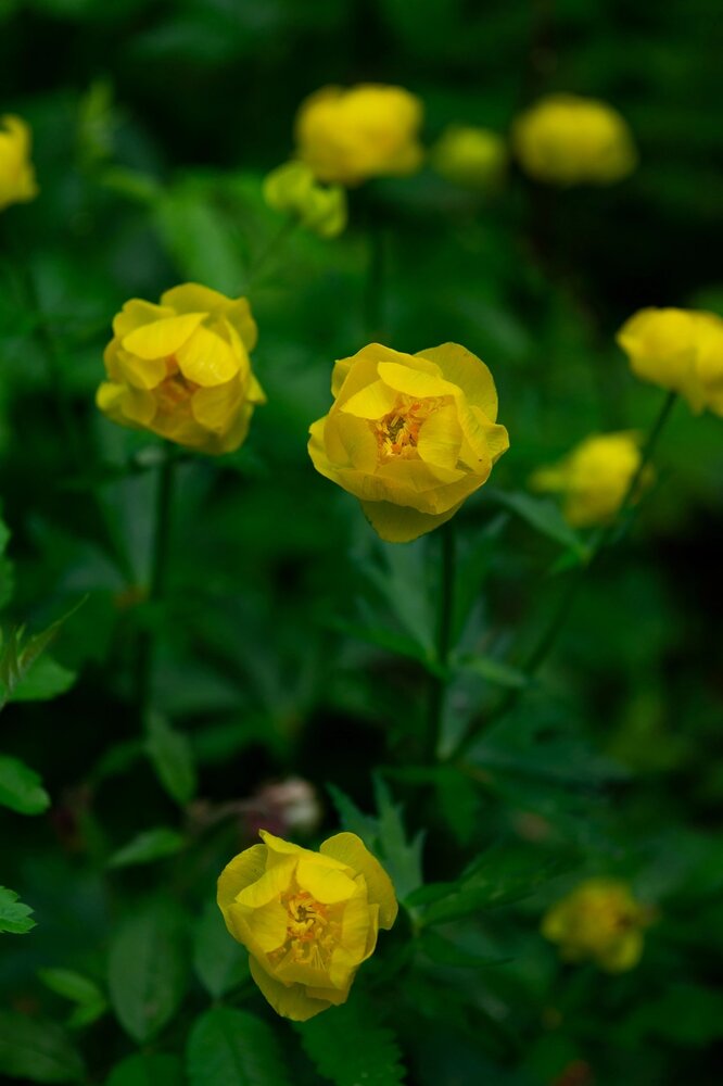 Photograph by Екатерина Одинцова