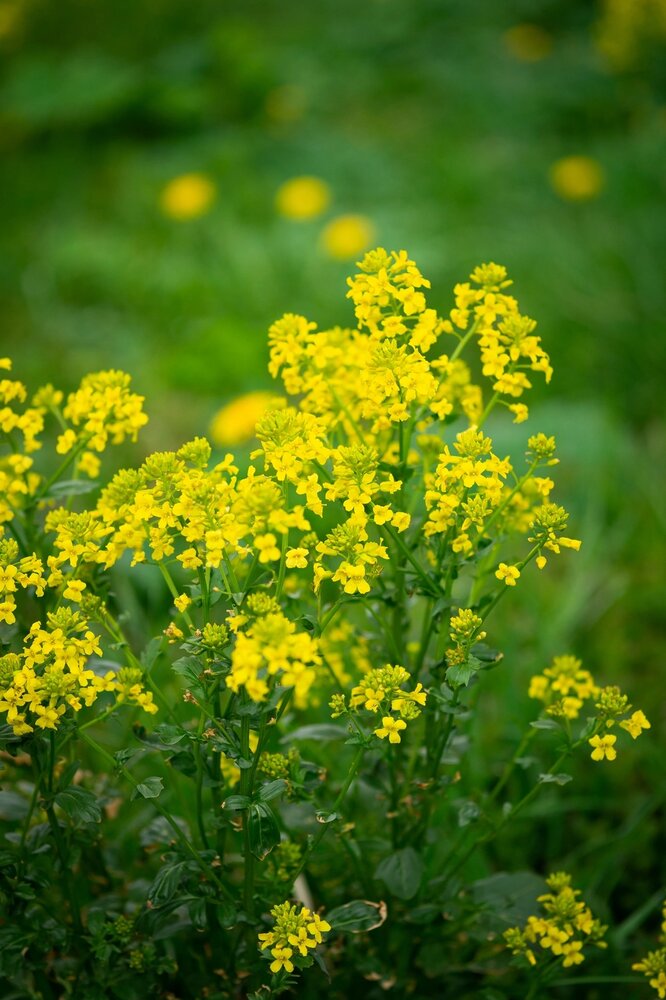 Photograph by Екатерина Одинцова