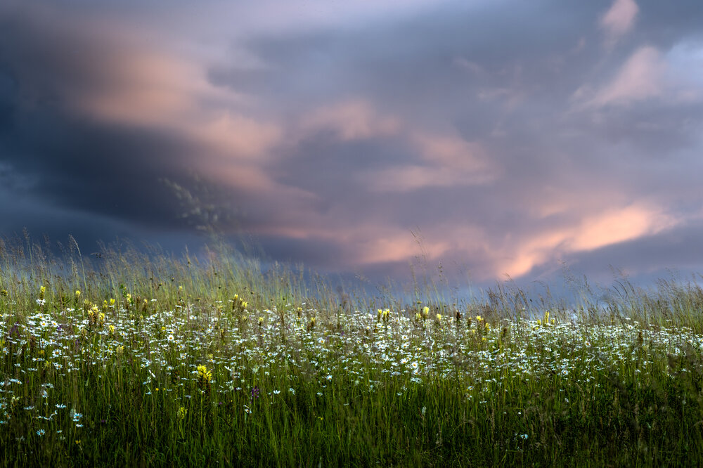 Photograph by Igor Maksimenko