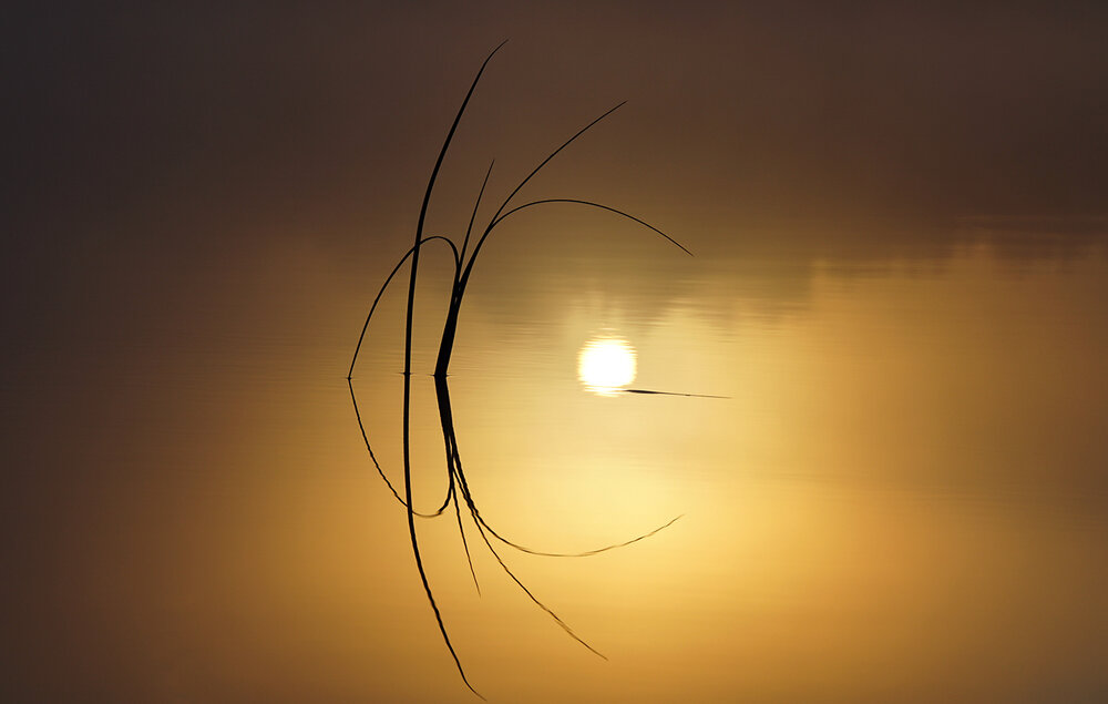 Photograph by Галина Лубянникова