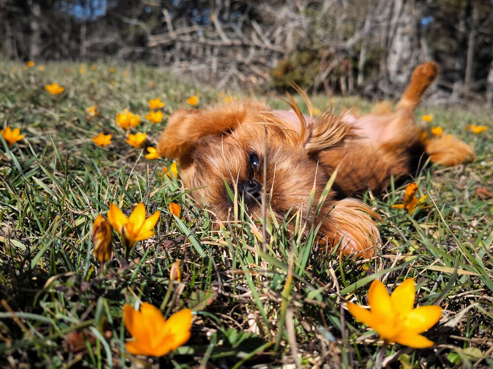 Photograph by Ирина Корх
