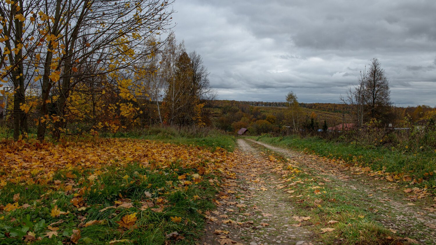 Photo #13793916