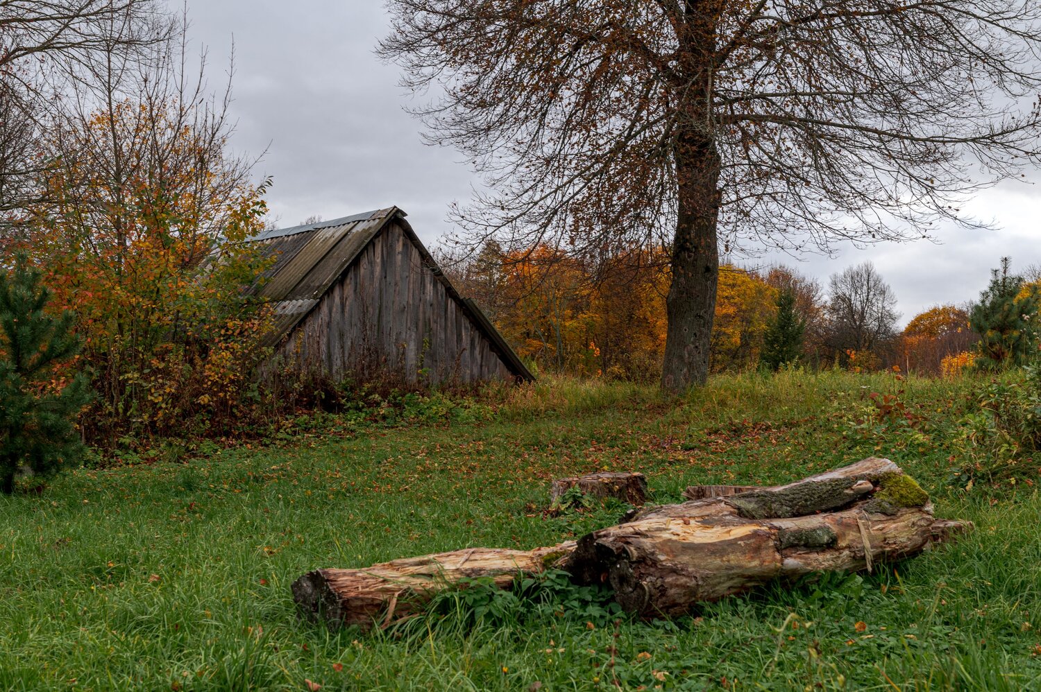 Photo #13793917