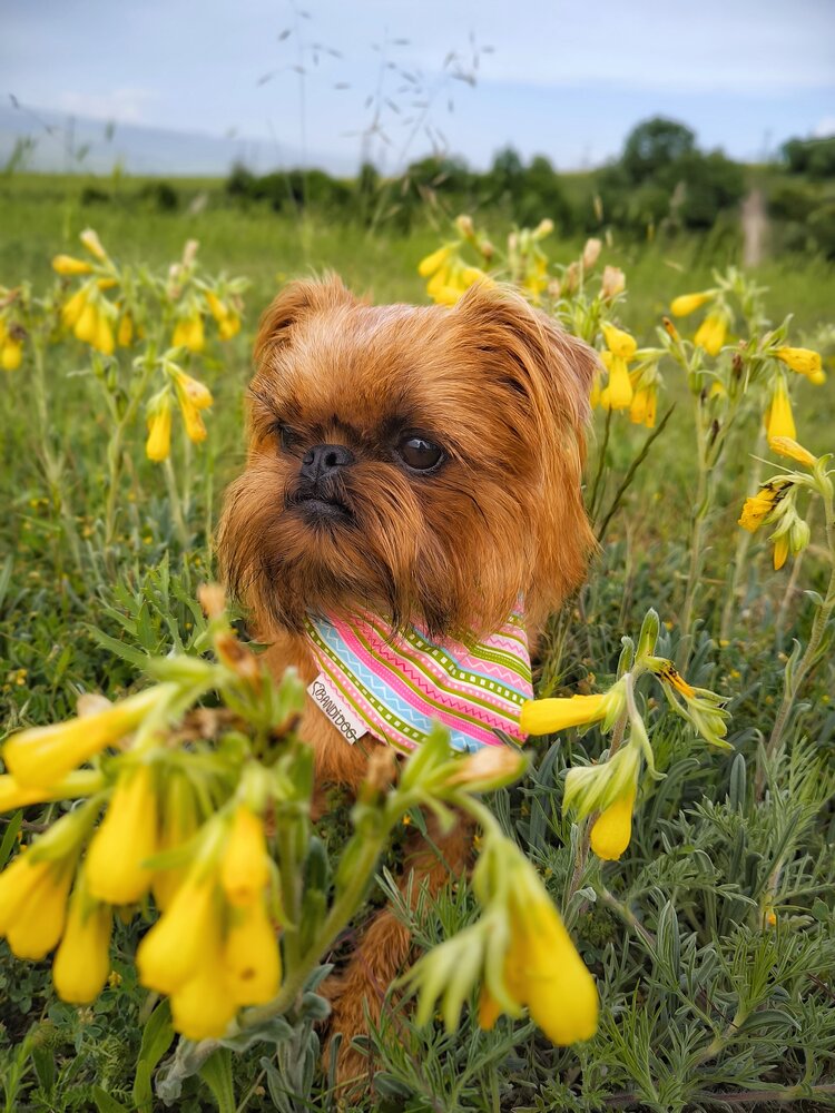 Photograph by Ирина Корх