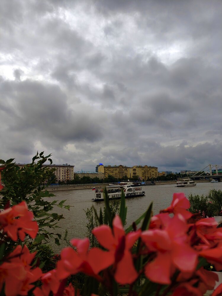 Фотография автора Юлия Журавлева