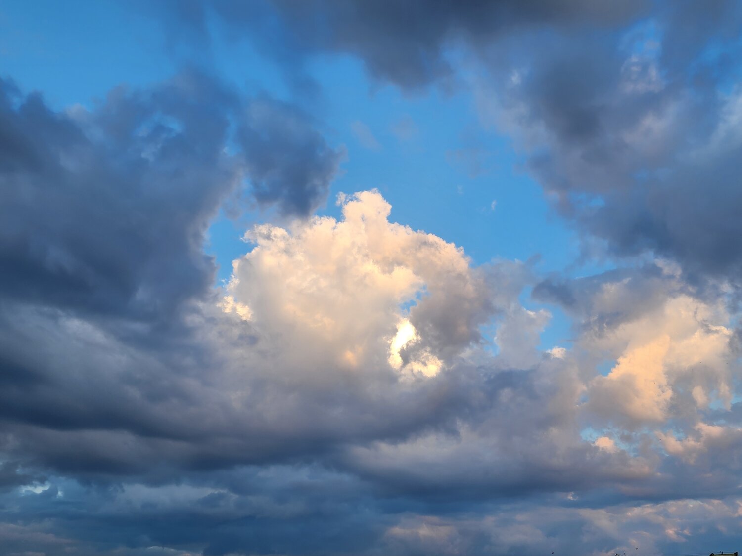 Photo #13793946