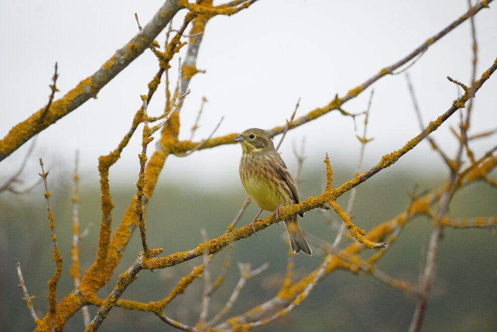 Photograph by Алфия Бугакова