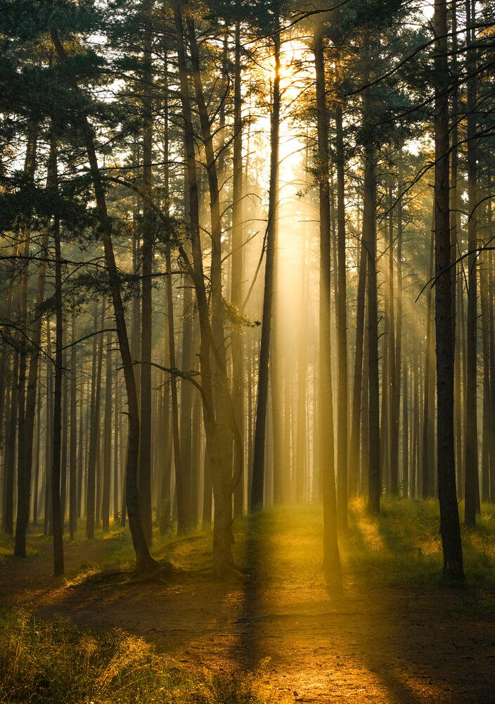 Photograph by Elvijs Kalnins