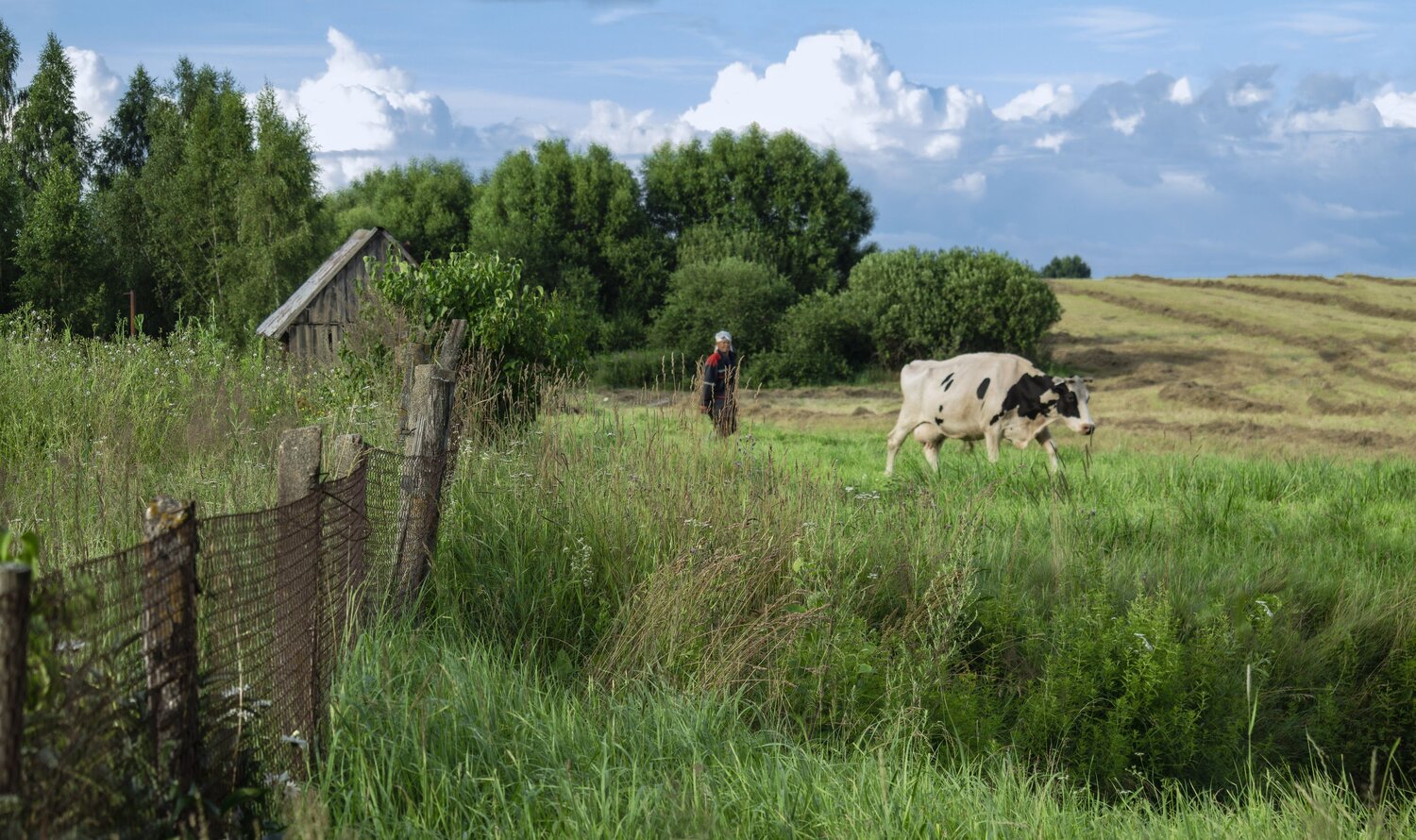 Photo #13794046