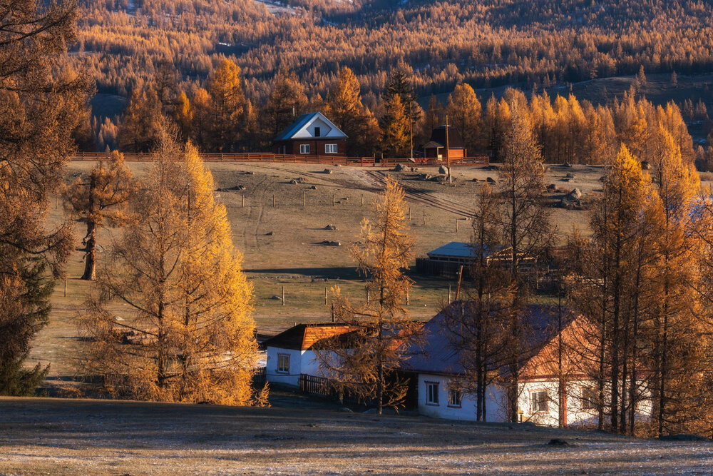 Photograph by Olga Sharikova