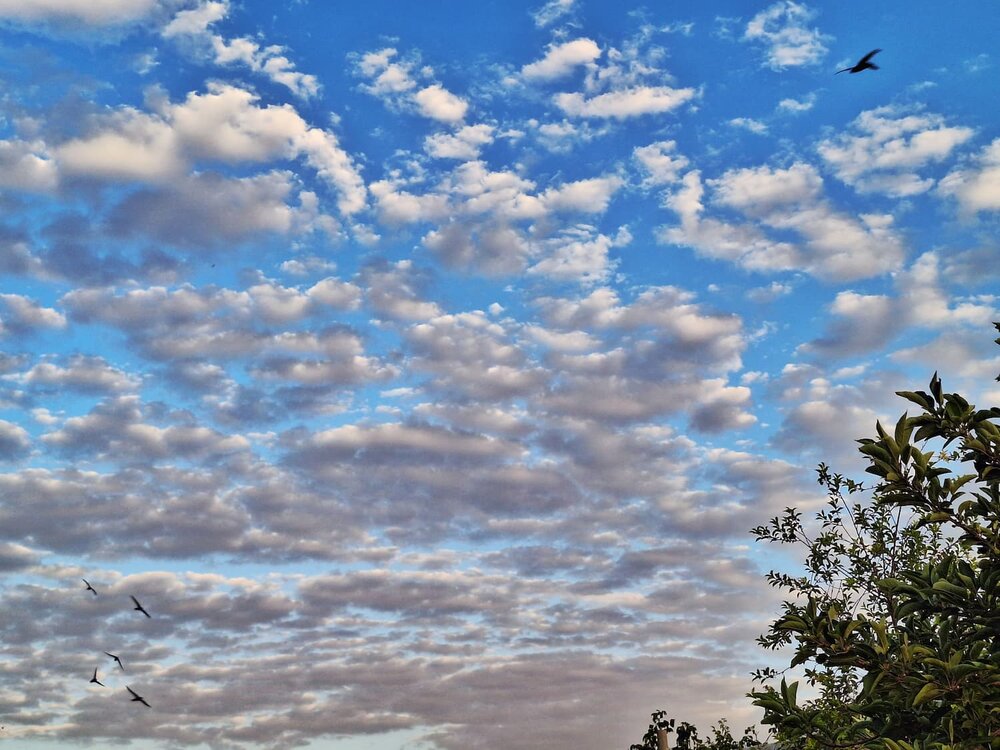 Photograph by Zahra akbari