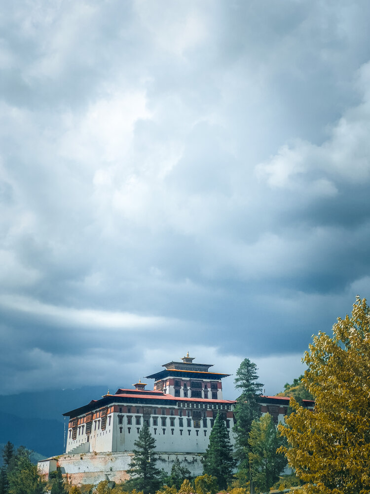 Фотография автора tenzin namgay