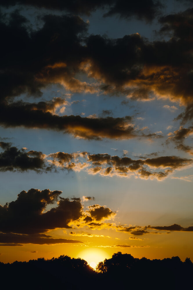 Photograph by Денис Труфанов