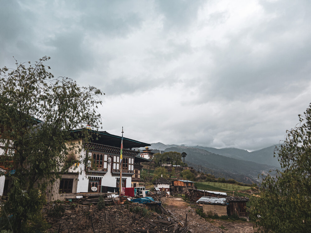 Фотография автора tenzin namgay