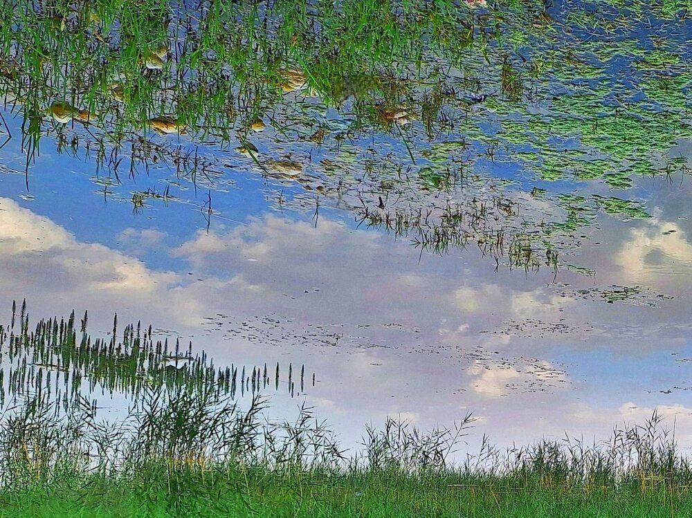 Photograph by Zahra akbari