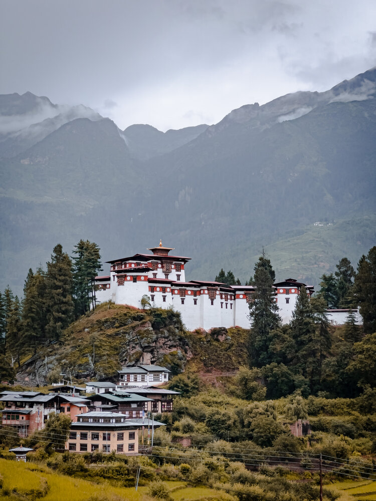 Фотография автора tenzin namgay