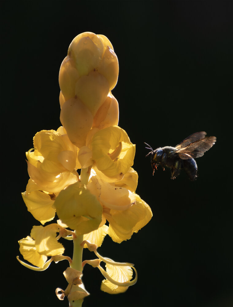 Photograph by Yainyt Alcazar Delgado